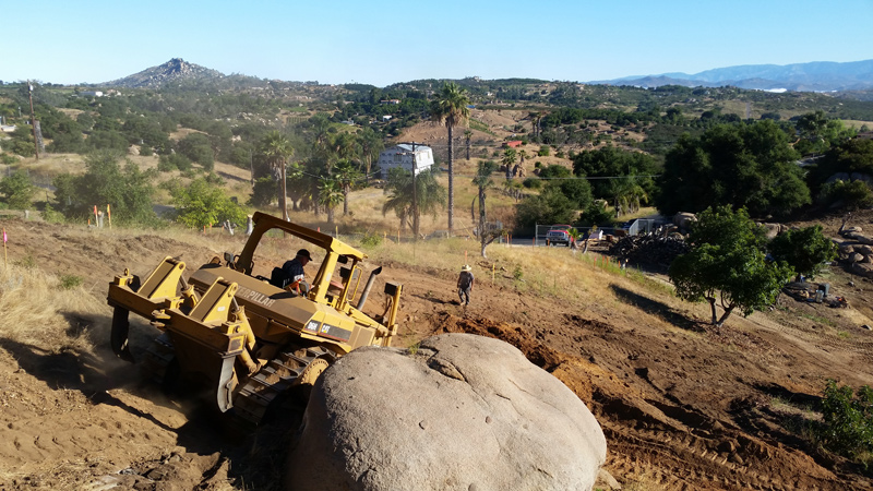 Starting the grading