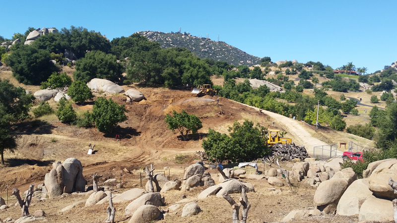 Grading the house site