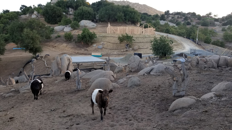 View from the lower pasture